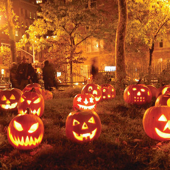 Halloween Decoration Ideas: Spooky, Scary, and Fun