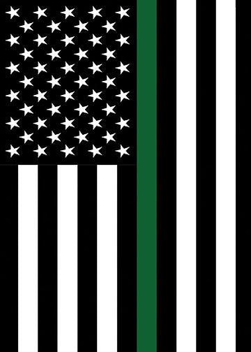 DoorFoto Door Cover Thin Green Line Flag