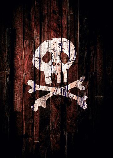 DoorFoto Door Cover Skull on Wood