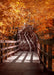 DoorFoto Door Cover Wooden Staircase