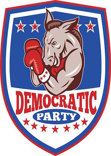 DoorFoto Door Cover Democratic Party - Donkey