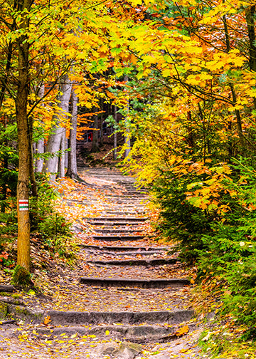 DoorFoto Door Cover Peaceful Autumn