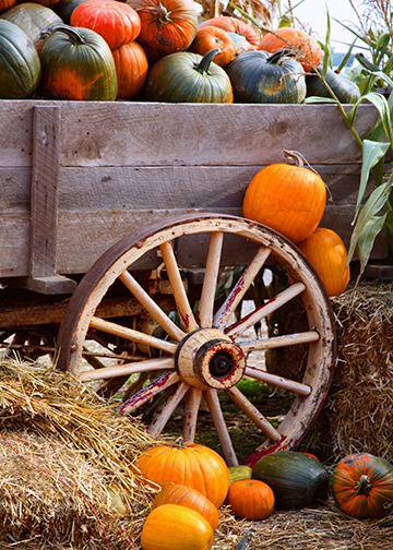 DoorFoto Door Cover Wagon Full of Pumpkins