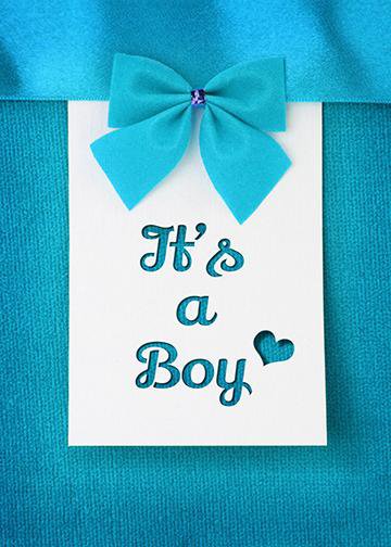 DoorFoto Door Cover It's a Boy - Blue Bow