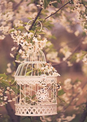 DoorFoto Door Cover Vintage Bird Cage