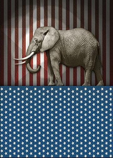 DoorFoto Door Cover Stars & Stripes Republican Elephant