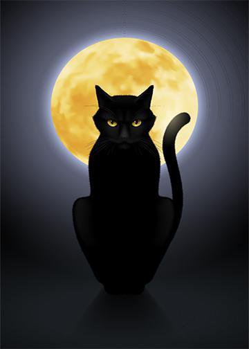 DoorFoto Door Cover Black Cat with Full Moon