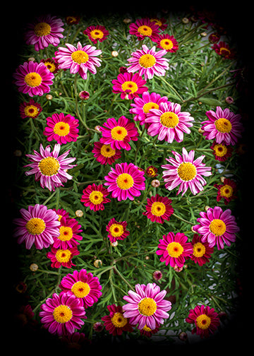 DoorFoto Door Cover Spring Hanging Decorations