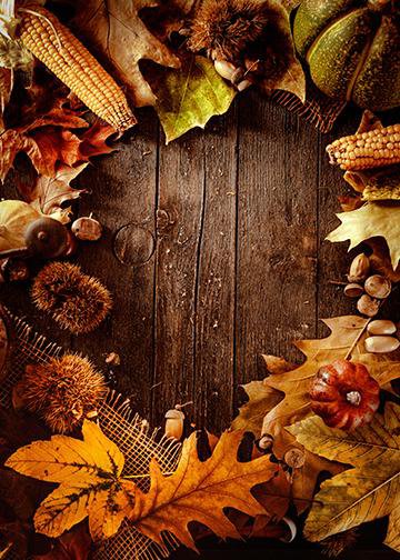 DoorFoto Door Cover Customizable - Thanksgiving Door Decoration