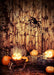 DoorFoto Door Cover Web with Pumpkins