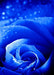 DoorFoto Door Cover Customizable - Blue Rose