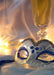 DoorFoto Door Cover Venetian Mask with Glass of Champagne