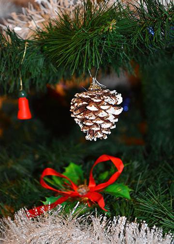 DoorFoto Door Cover Christmas Pine Cone