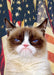 Grumpy Cat Door Cover Patriotic Grumpy Cat