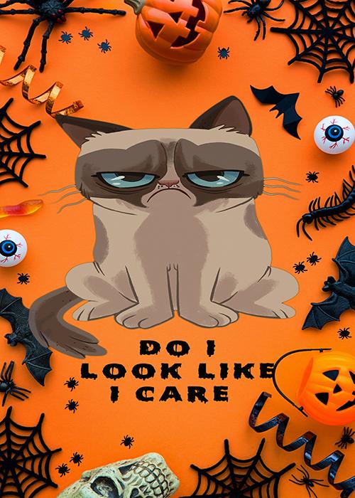 Grumpy Cat Door Cover Grumpy Halloween