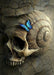 DoorFoto Door Cover Skull with Blue Butterfly