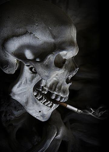 DoorFoto Door Cover Smoking Skull