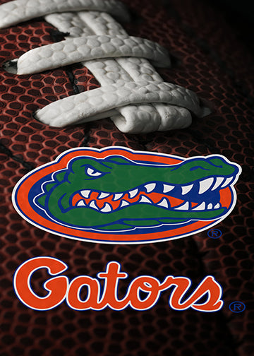 DoorFoto Door Cover Gatorzone Football